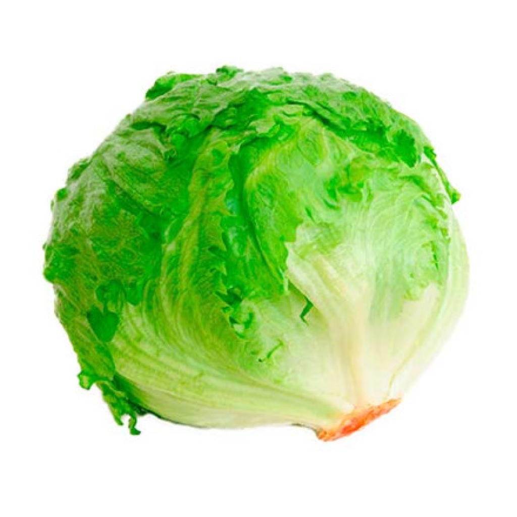 Lechuga Americana 700gr a 1kg Aprox